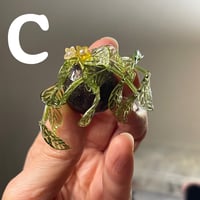 Image 4 of Flower Magnet 