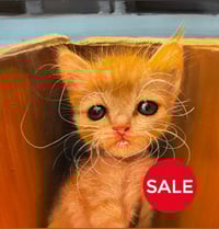 Image 2 of "Cardboard Cherub” Original painting 