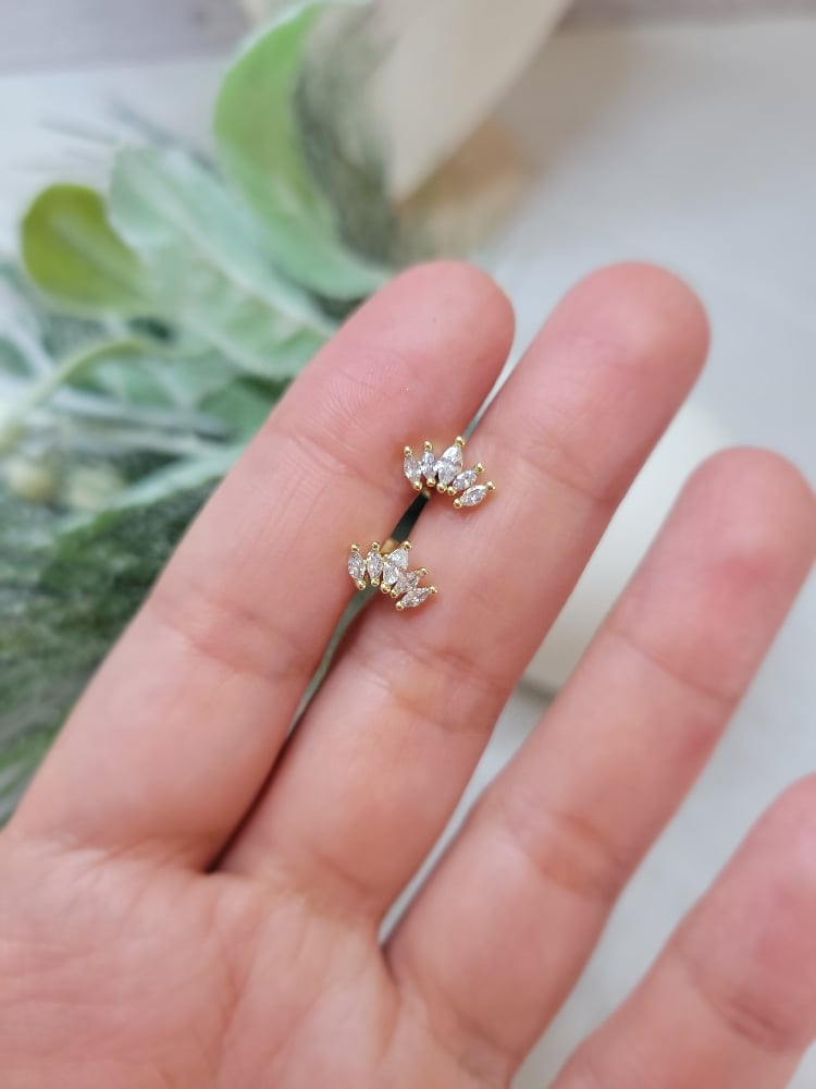 Image of Summer Earrings 