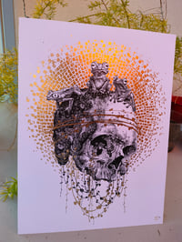 Image 5 of - froggy skull  -