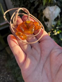 Image 5 of Baltic Amber Seal pendant 