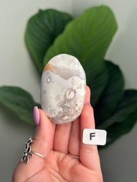 Image 6 of CHOOSE YOUR OWN HQ FLOWER AGATE PALM STONE -MADAGASCAR-