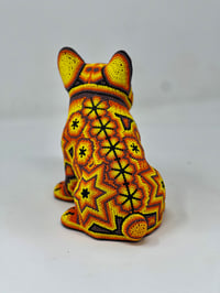 French Bulldog Puppy 005