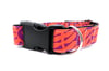 Pink and Orange Dog Collar