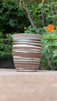 Image 3 of Mixed Cup 11