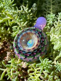 Image 7 of Jeweled Pear