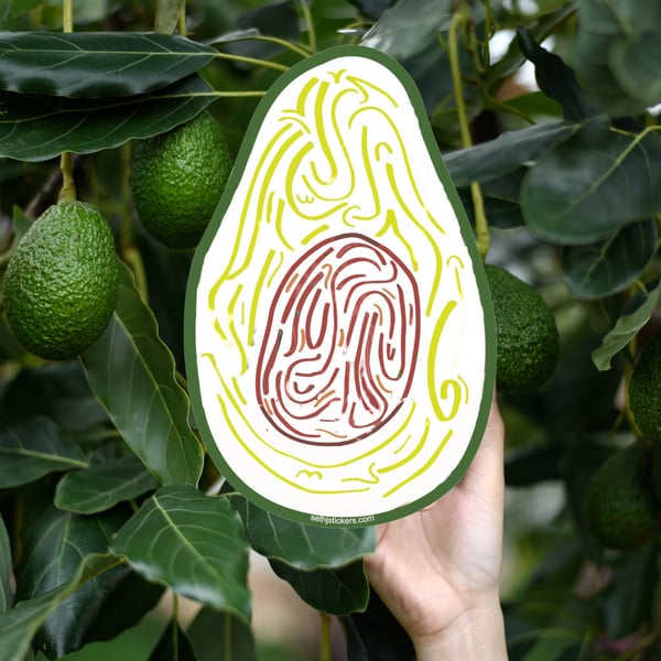 Image of Avocado Sticker