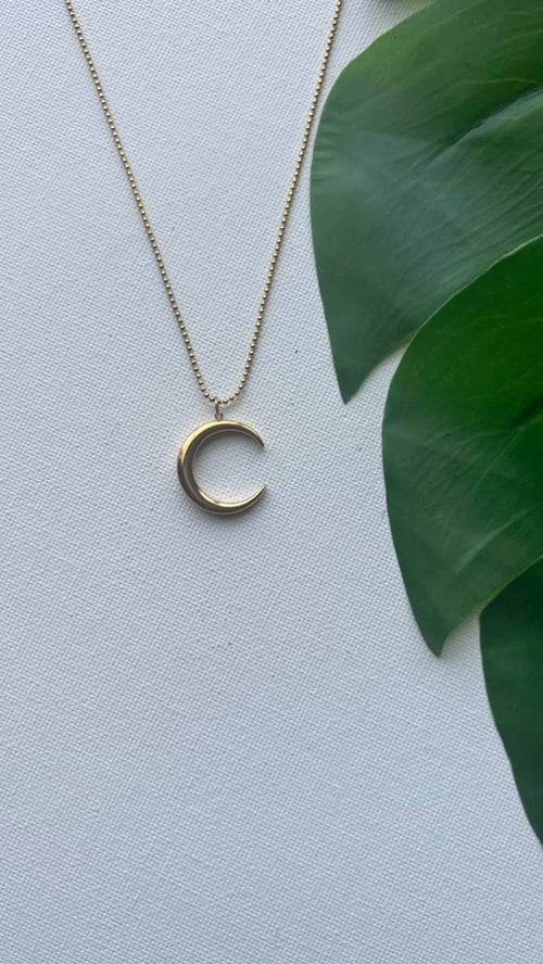 Image of MOONI • Moon Pendant Necklace
