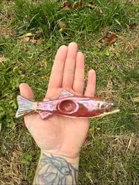 Image 4 of Trout -SECONDS