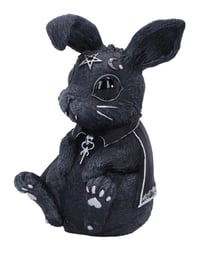 Image 2 of Bunerius cult cutie