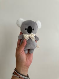 Image 1 of Kora the Koala 