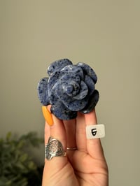 Image 5 of SODALITE  ROSES