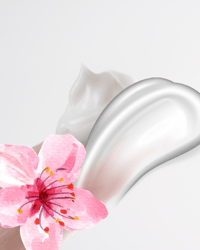 Image 1 of Whipped Body Butter/Cherry Blossom