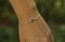 Image of Boulder Opal Armband