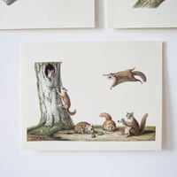 Image 2 of Planches De Bestiaire Du Muséum D'histoire Naturelle _