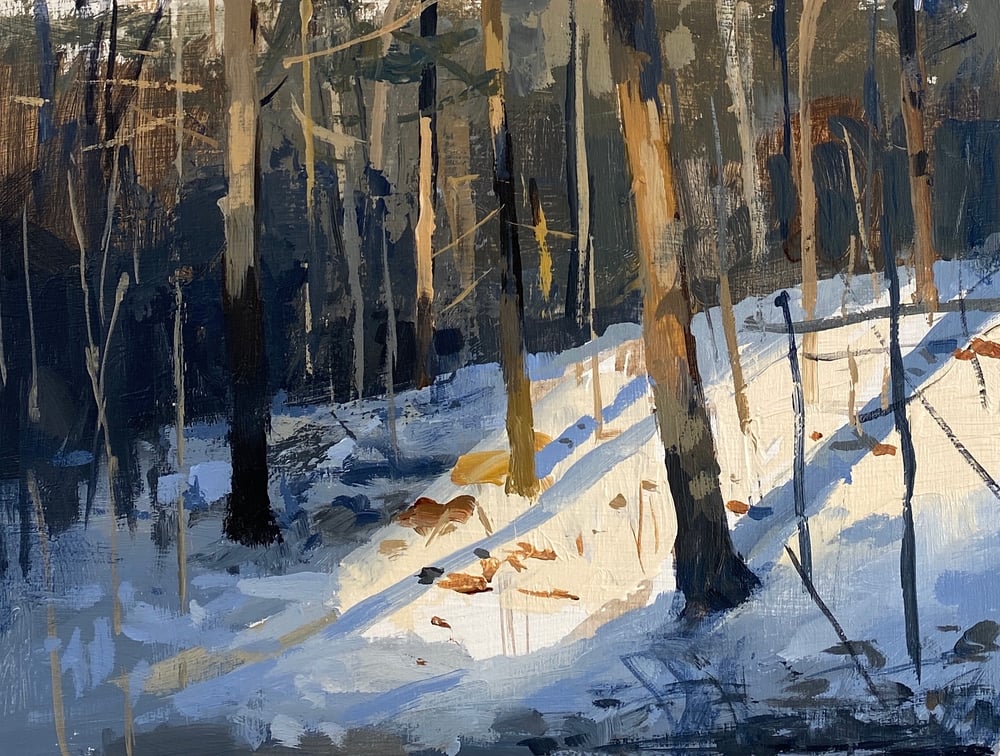 Image of Winter Sketch 11 (golden hour oaks)