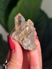 Image 3 of NATURAL EXPOSED RUTILE SMOKEY QUARTZ POINT -BRAZIL- C