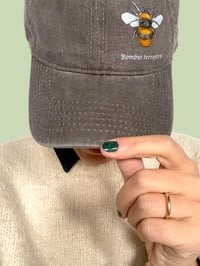 Image 3 of Cappellino BOMBO