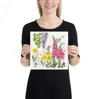 Image 13 of Foxglove Garden- Poster Print