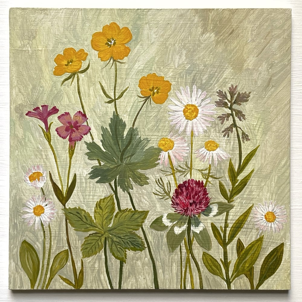 Image of Study of Wild Flowers