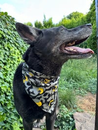 Image 4 of Suspicious Kitty Bandana 