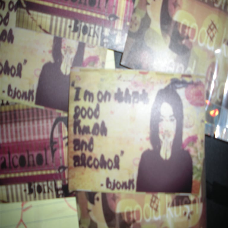 the bjork sticker pack Image 3