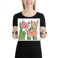 Image 11 of Parrot Tulips- Poster Print