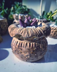 Image 1 of XMasPullover Large -echeveria cherry(με φυτό) 