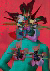 Image 1 of Sharp Petals