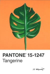 Monstera Pantone