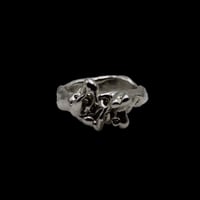 Image 1 of dianthus ring 