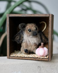 Image 1 of Pipe cleaner baby bat with wooden modular display
