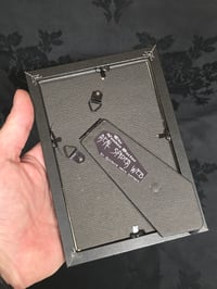 Image 4 of 1800’s biblical BATS with preserved spider web - black framed -3