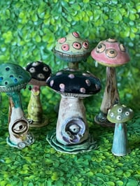 Image 5 of Black Mushroom with Eyes and dangling dew