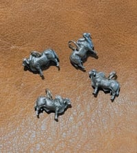 Image 2 of  Brahman Charms