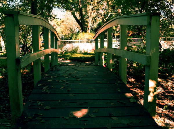 Image of Lets Cross The Bridge Together