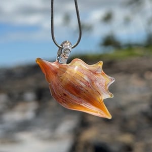 Image of Red and White Speckled Shell
