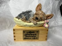 Image 11 of Add Custom Mini Toys To Existing Urn Order