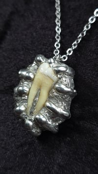 Image 6 of Human tooth organic soldered necklace