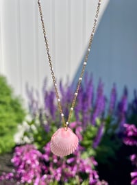 Image 2 of Scallop Shell Necklace N186
