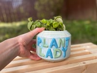 Image 1 of Vining Peperomia in PLANT LADY Pot