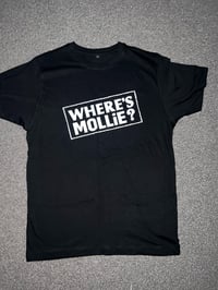 WHERE’S MOLLIE? 