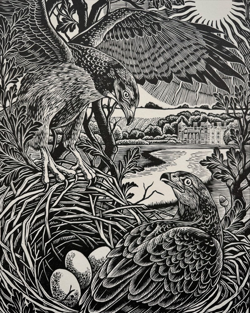 Image of ‘Blickling Buzzards’ Original Woodblock Print - Black on Ivory