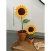 Mini Sunflowers