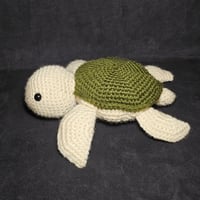 Image 4 of Small sea turtle 
