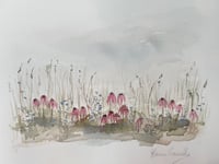 Image 3 of Prairie Flowers Watercolour