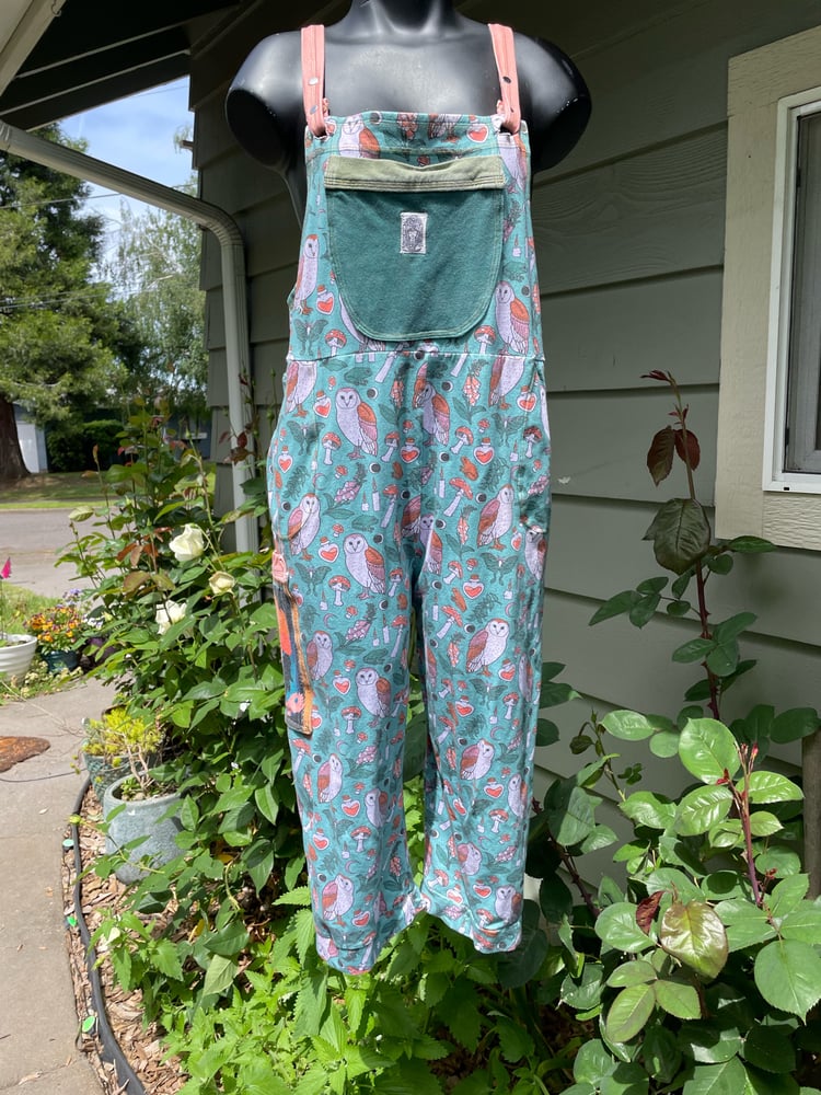 Image of Owl Overalls- Small/medium