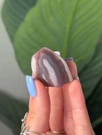Image 1 of TUMBLED AGATE #46 -MALAWI-
