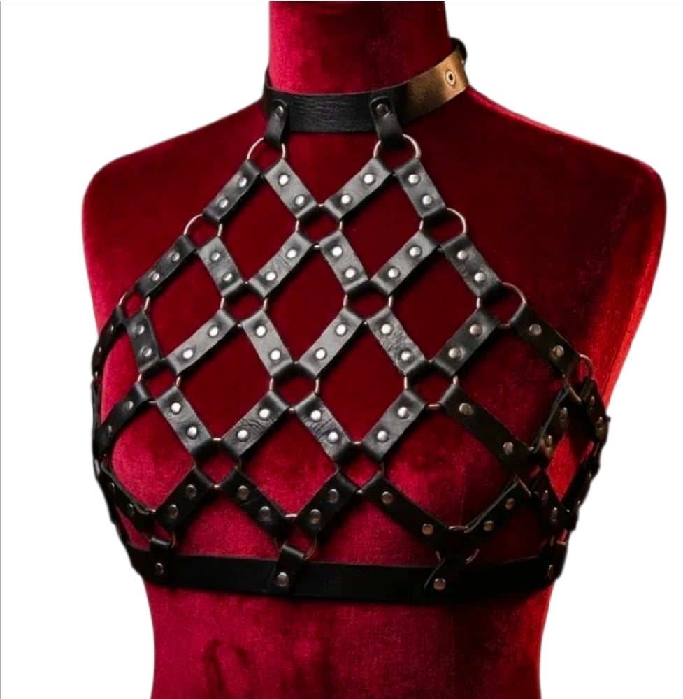 Image of Ritual Binding Harness