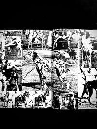 Image 14 of Shuji Terayama - Phototeque Imaginaire